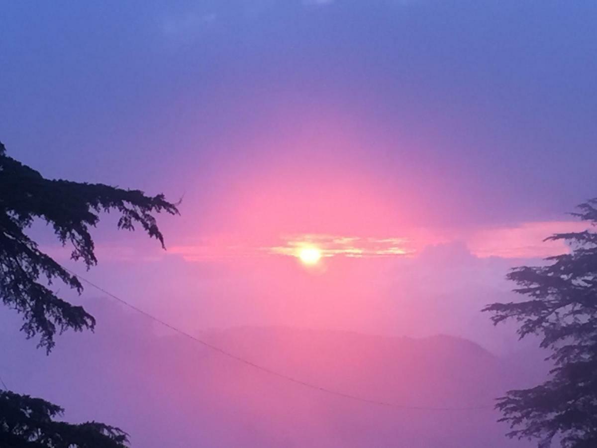 Simla View Bed & Breakfast ภายนอก รูปภาพ